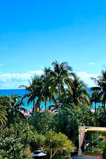 Nine Favorite Things | halfbakedharvest.com