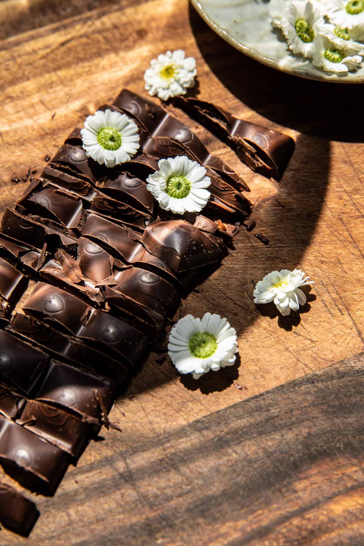 Blender Chocolate Peanut Butter Ice Cream | halfbakedharvest.com