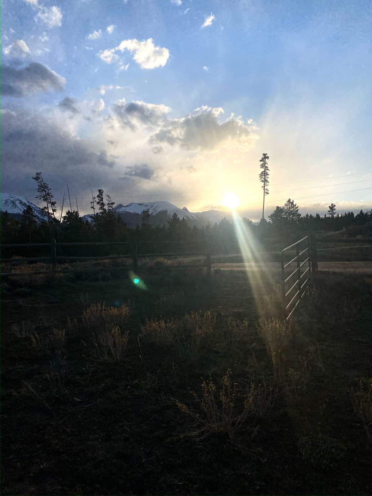 Nine Favorite Things | halfbakedharvest.com