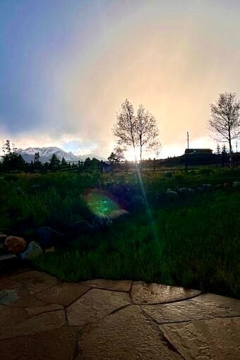 Nine Favorite Things | halfbakedharvest.com