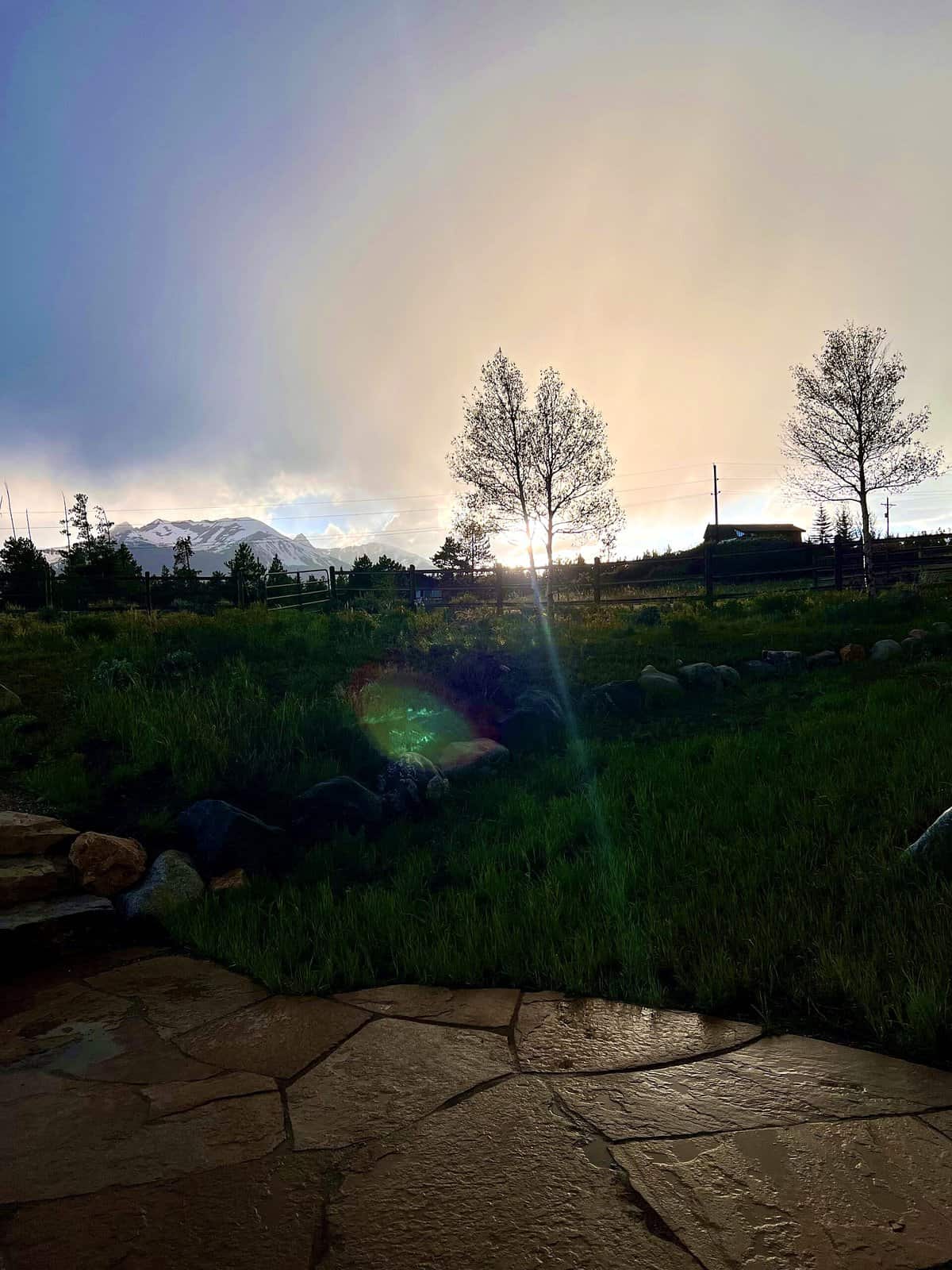 Nine Favorite Things | halfbakedharvest.com