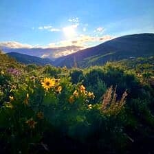 Nine Favorite Things | halfbakedharvest.com