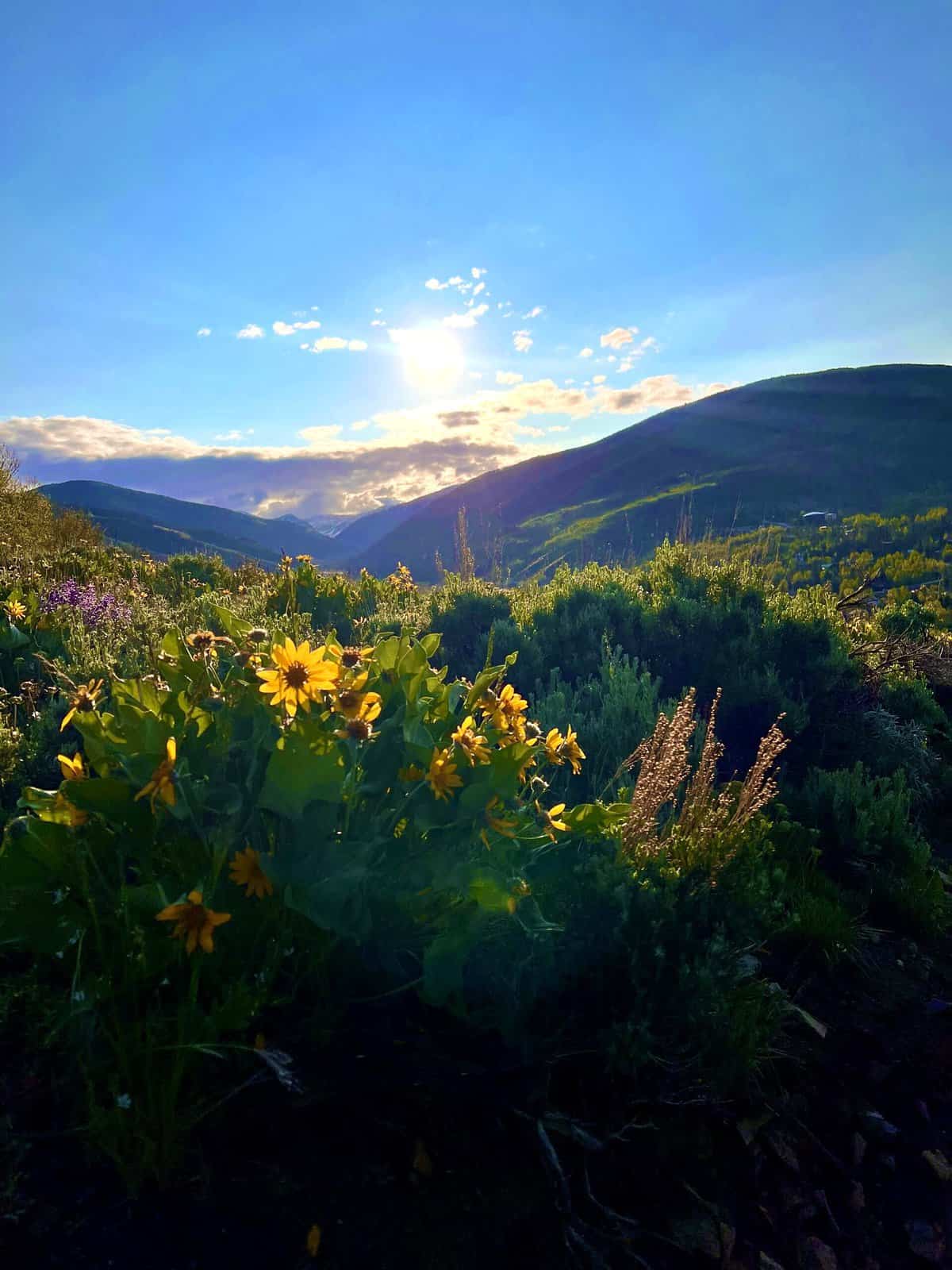 Nine Favorite Things | halfbakedharvest.com