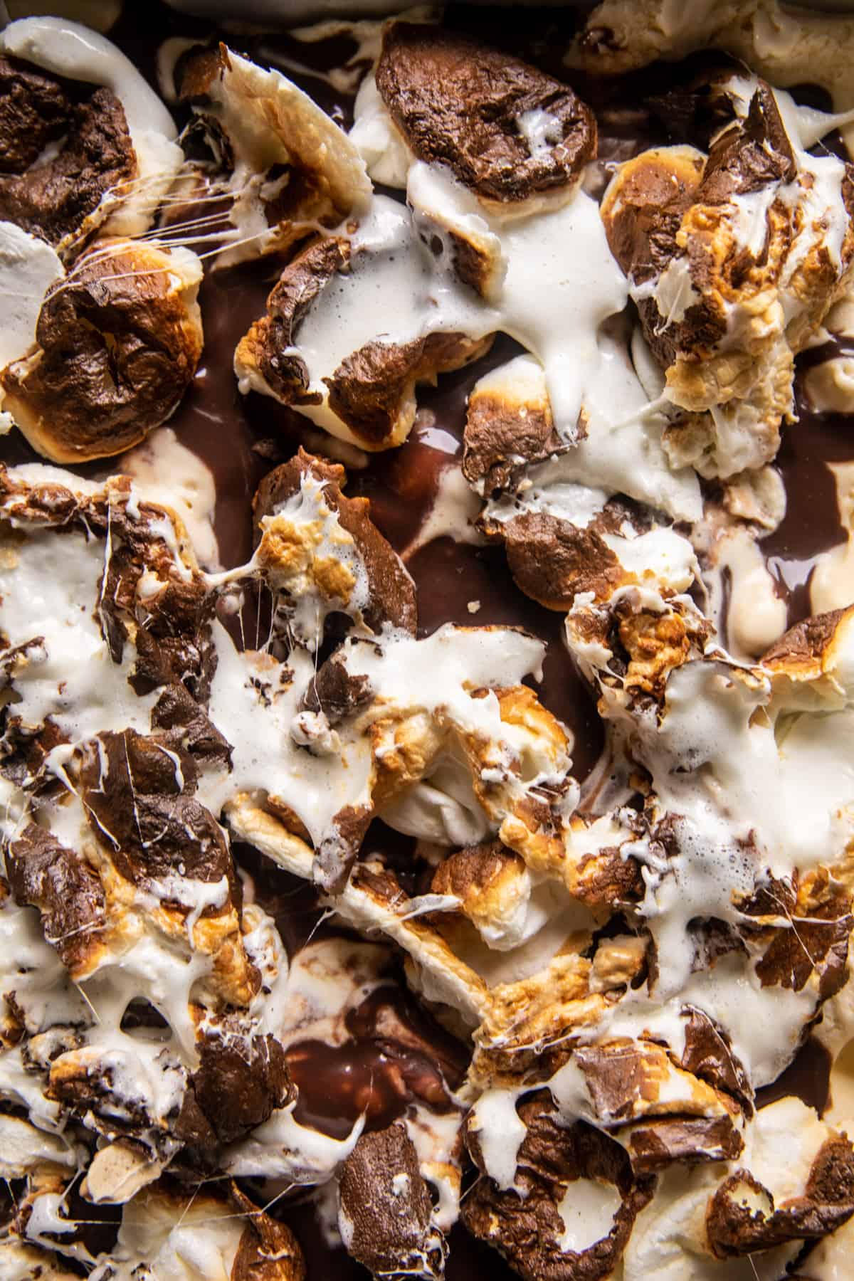 Toasted S'mores Ice Cream Sandwiches | halfbakedharvest.com