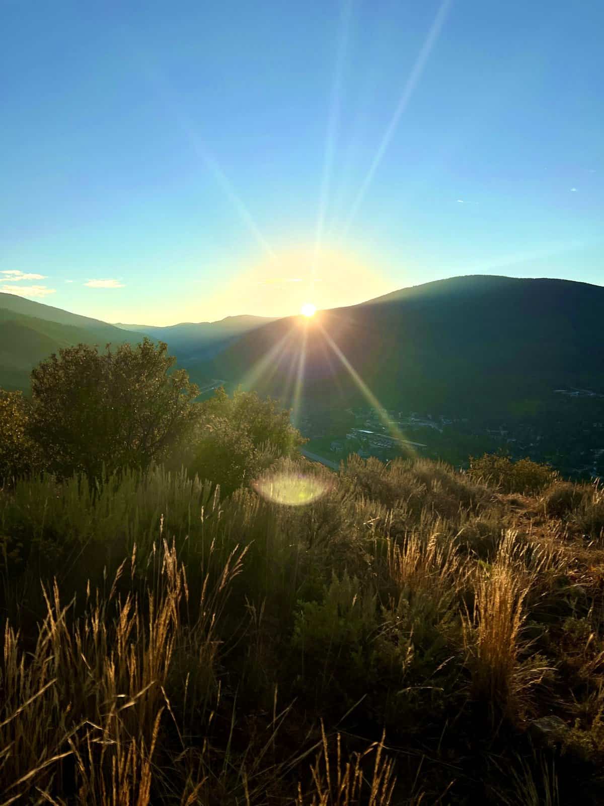 Nine Favorite Things | halfbakedharvest.com