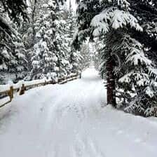 Nine Favorite Things | halfbakedharvest.com