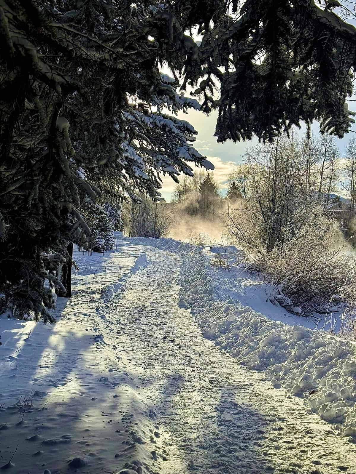 Nine Favorite Things