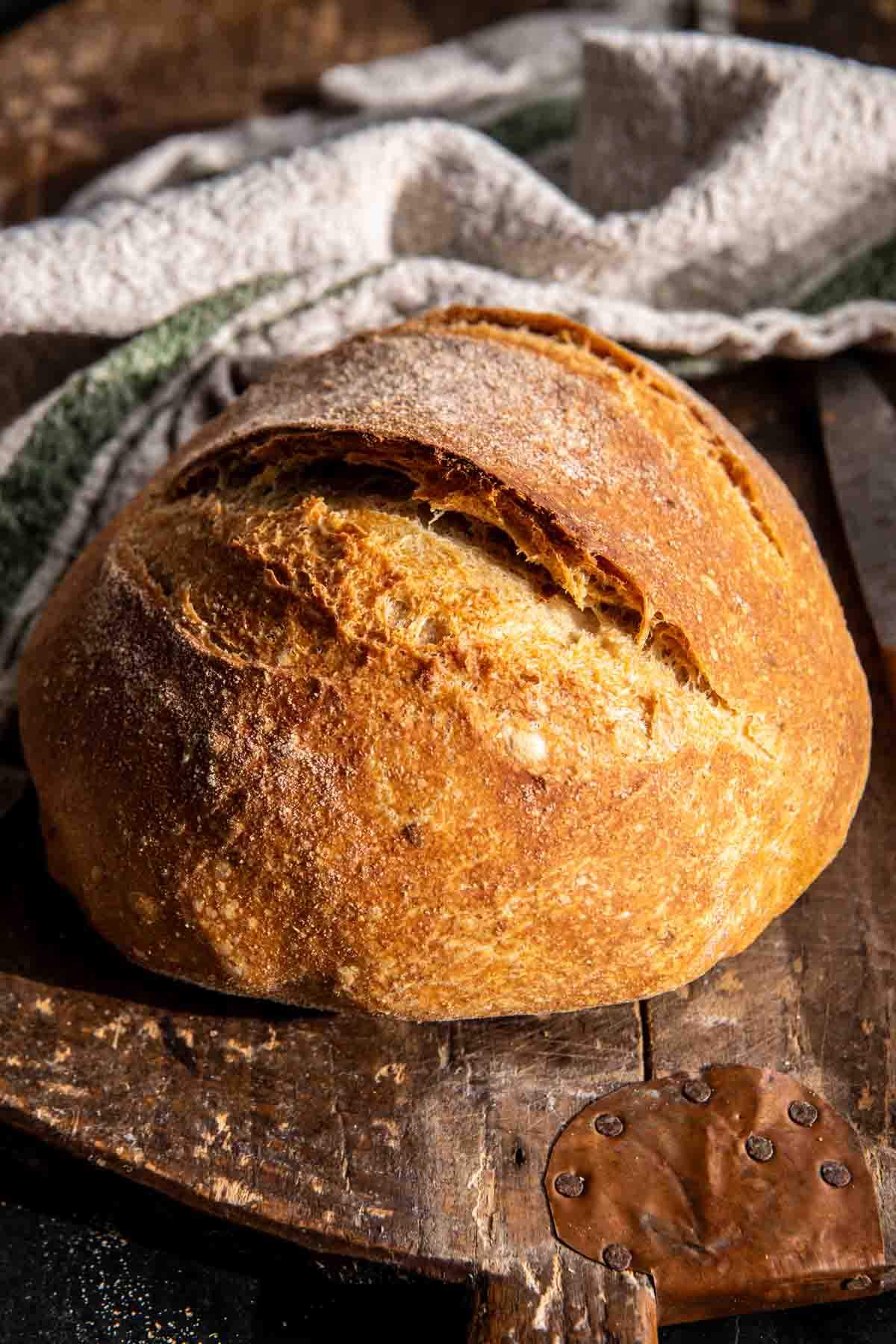 The Best (easiest) No Knead Bread | halfbakedharvest.com