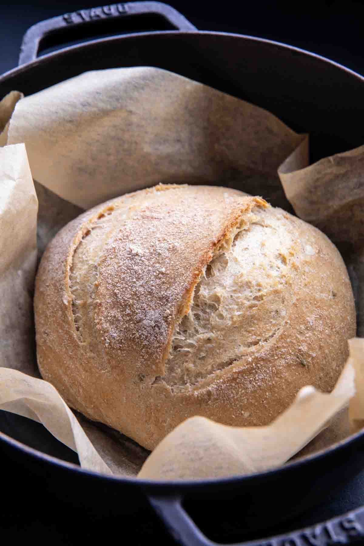 The Best (easiest) No Knead Bread | halfbakedharvest.com