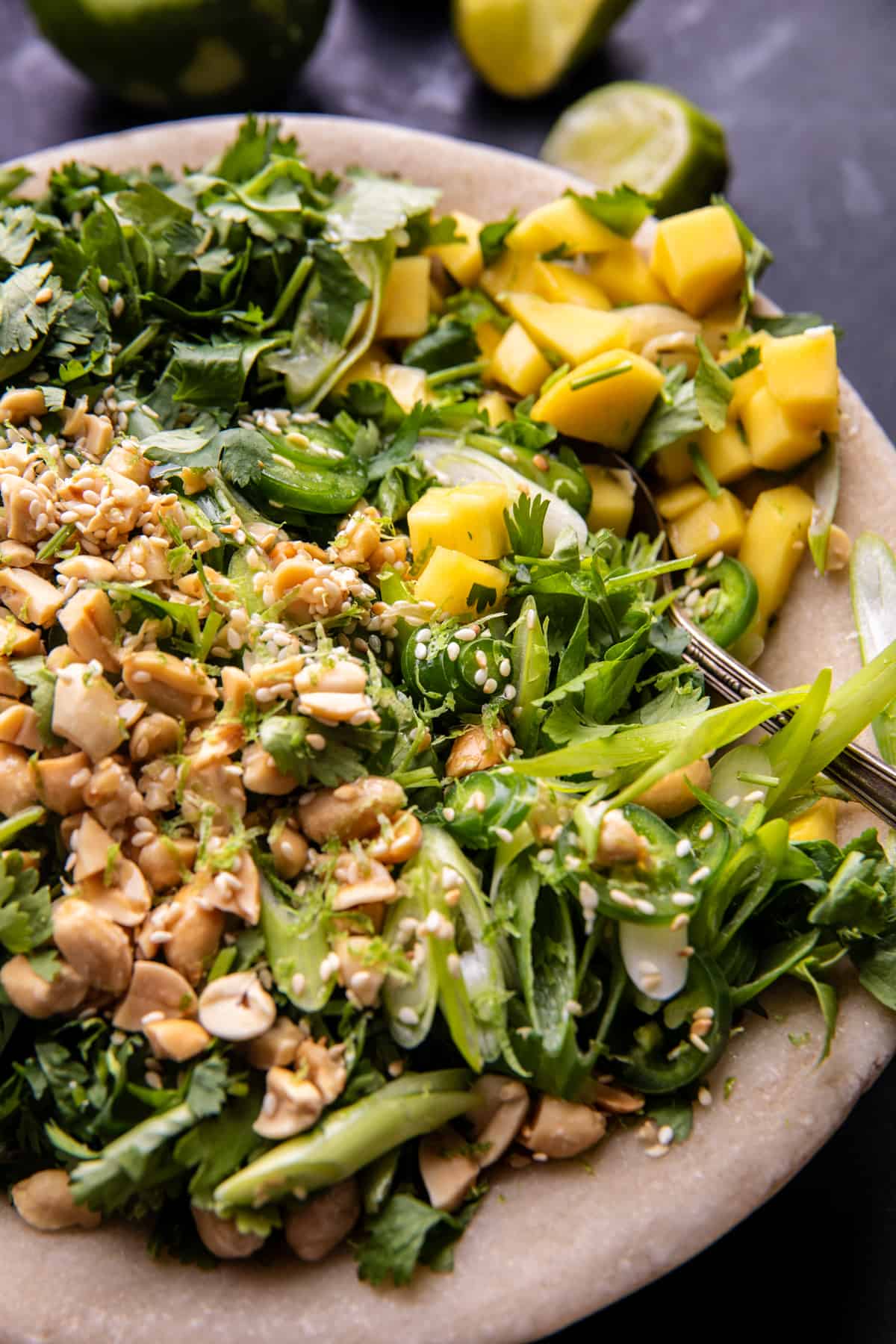 Curried Thai Beef with Peanut Sauce | halfbakedharvest.com