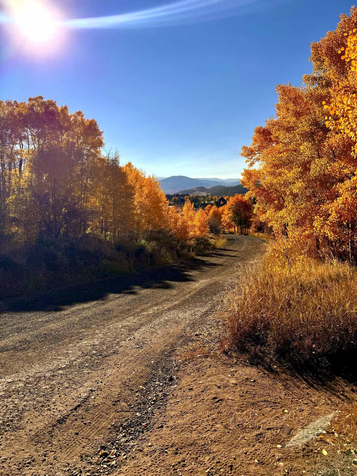 nine favorite things