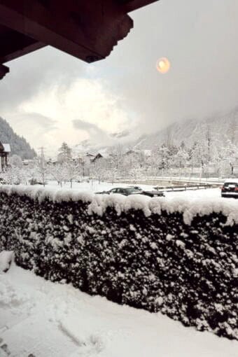 Nine Favorite Things | halfbakedharvest.com