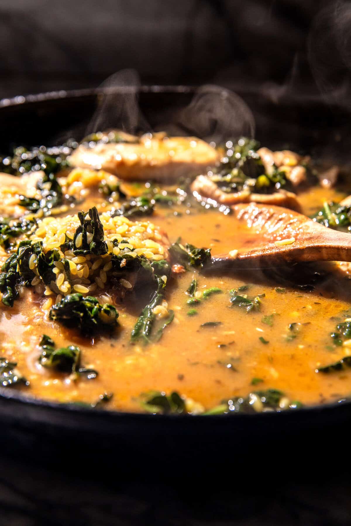 Lemon Cream Sauce Smothered Chicken and Orzo | halfbakedharvest.com