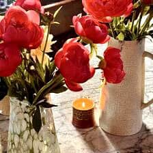 Nine Favorite Things | halfbakedharvest.com