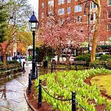 Nine Favorite Things | halfbakedharvest.com