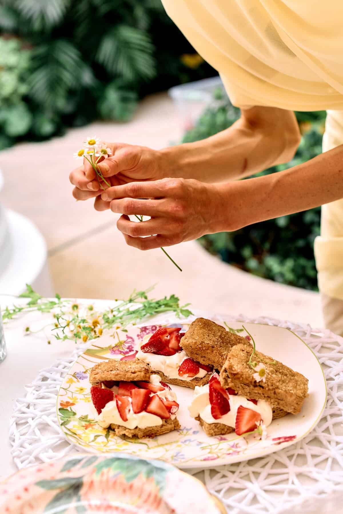 HBH Cookbook Club| halfbakedharvest.com