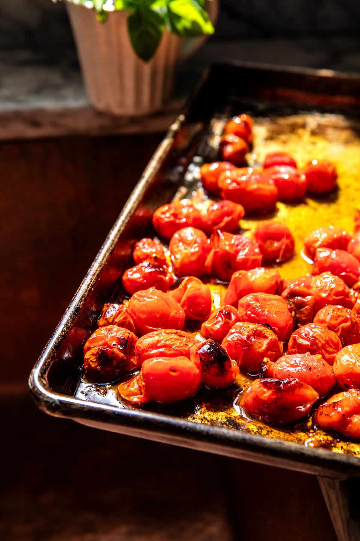 Caprese Pasta Salad | halfbakedharvest.com