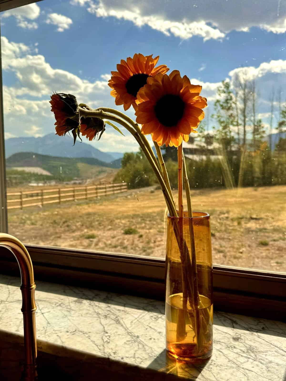 Nine Favorite Things | halfbakedharvest.com