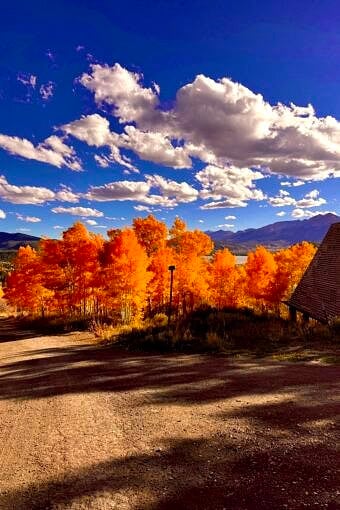 Nine Favorite Things | halfbakedharvest.com