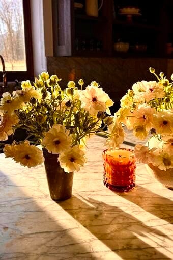 Nine Favorite Things | halfbakedharvest.com