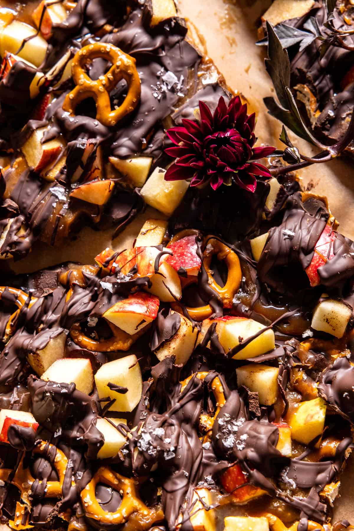 Salted Chocolate Caramel Apple Bark | halfbakedharvest.com