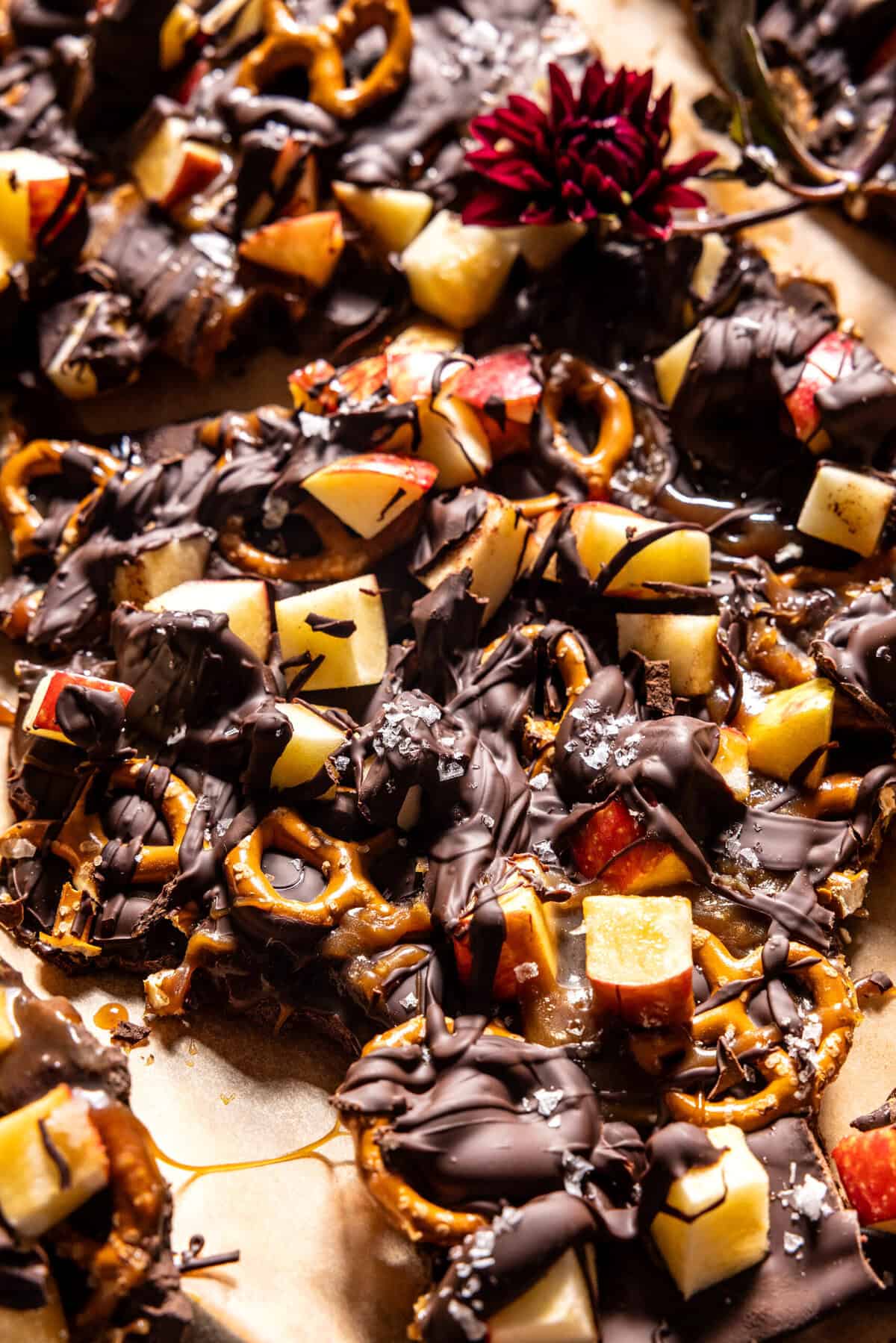 Salted Chocolate Caramel Apple Bark | halfbakedharvest.com
