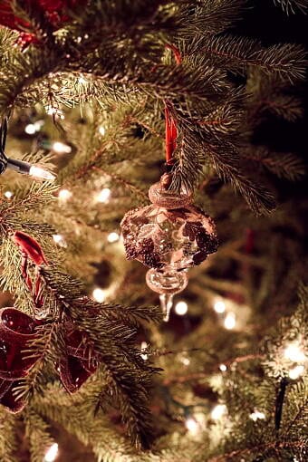 Nine Favorite Things | halfbakedharvest.com